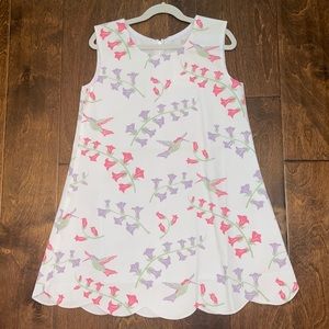 NWT TBBC Anne Charlotte Shift Dress - Harbour Island Hummingbird - 8 - $ FIRM